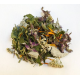 Tisane des reines