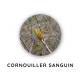 Macérat de bourgeons de cornouiller sanguin