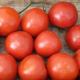 TOMATES LOCALES